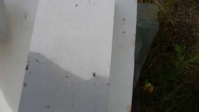 Шести рамочный улей из пенополистирола в работе. смотреть онлайн