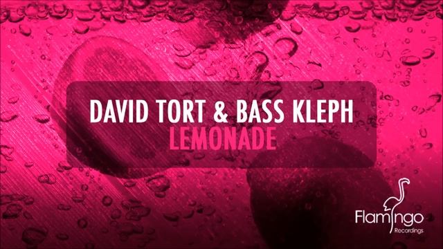 David Tort & Bass Kleph - Lemonade (Original Mix) [Flamingo Recordings] смотреть онлайн
