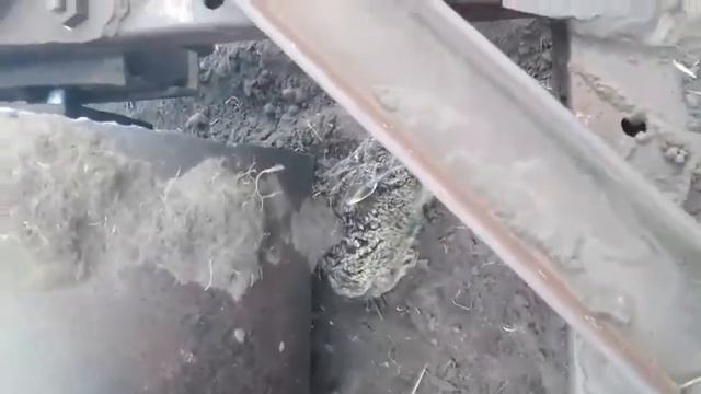 я нашёл кролика смотреть онлайн
