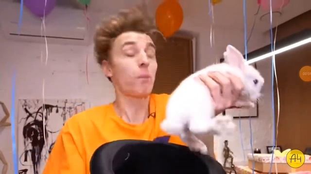 А4 смотреть онлайн