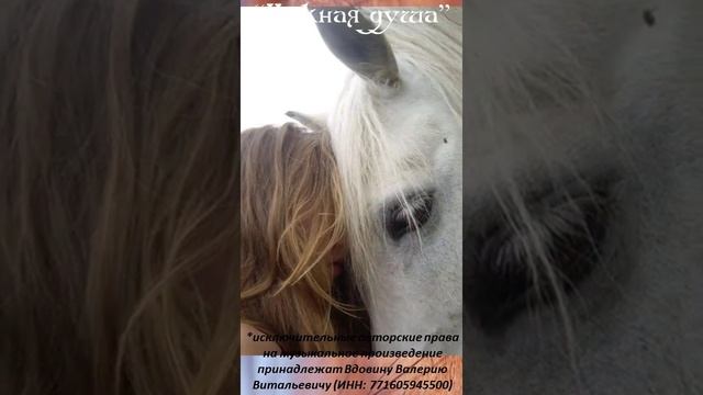 Нежная душа #shorts смотреть онлайн