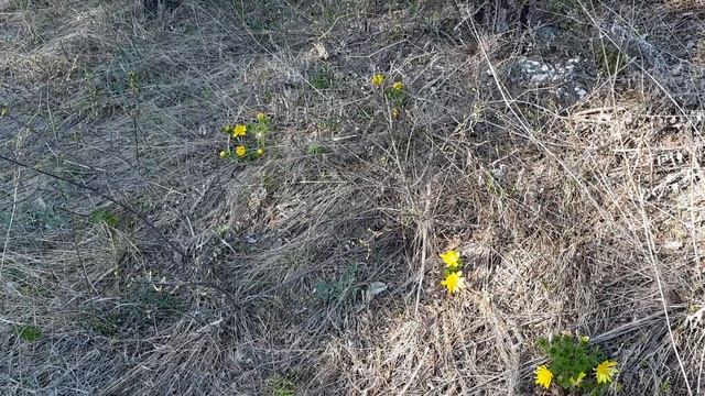 Полнота Любви ко Мне Единому смотреть онлайн