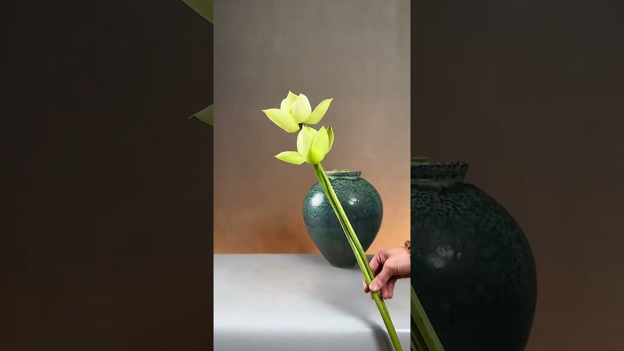 Как заманить свежий ветер в чащобу?Что предложить ему,Если он любит только свободу! #тренд #shorts смотреть онлайн