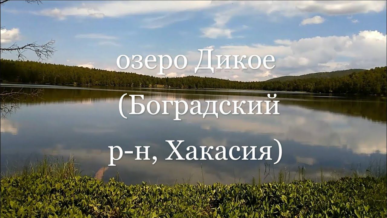 озеро Дикое 🌊 (Боградский район, Хакасия) 01.08.2022г смотреть онлайн