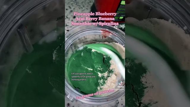 Blueberry Açaí Berry Pineapple Banana Protein Smoothie w/ Spirulina & Chia Seeds in Ninja Blender ✨