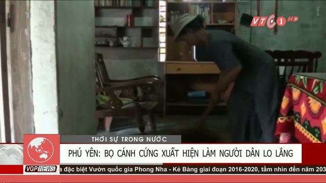 Kinh hoàng bọ cánh cứng tấn công nhà dân | VTC смотреть онлайн