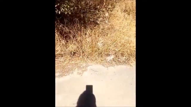 Вокруг ЖД вокзала Анапы всё в мусоре!!!!! смотреть онлайн