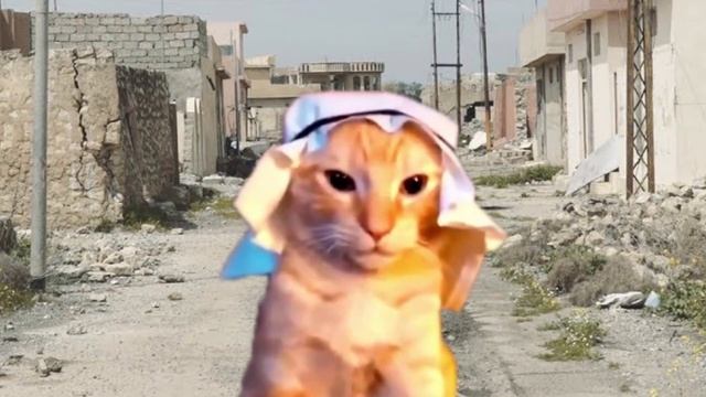 arabcat смотреть онлайн