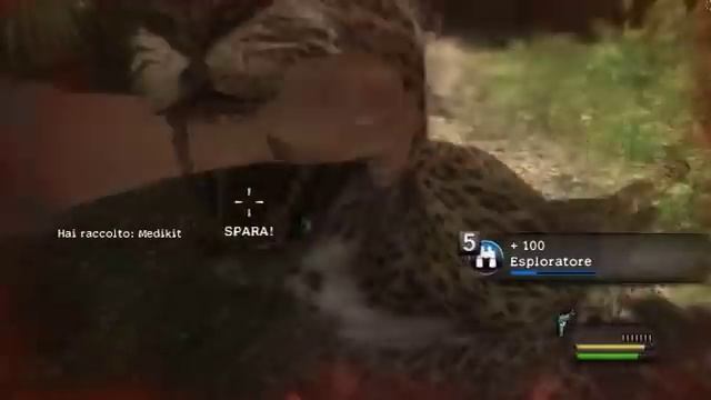 CABELA'S -Dangerous Hunts 2013- Gameplay PC on AMD HD6770M (parte 3) смотреть онлайн