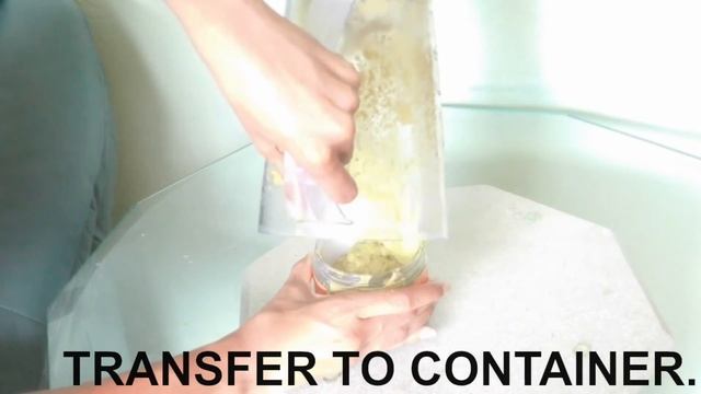 DIY HAIR SMOOTHIE W/ SHEAMOISTURE 100% PURE MONOI OIL смотреть онлайн
