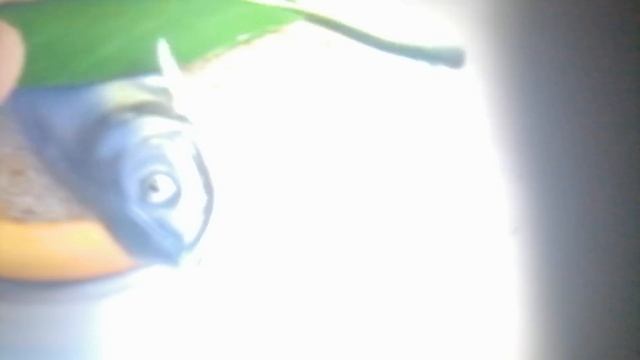 Буба серия 18 для детей мультфильм 1999