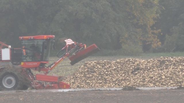 Holmer Terra ⚔️Felis 2 ECO ⚔️Rübenverladung ⚔️ Ochsenfurter Gau⚔️ bei Sauwetterim Oktob смотреть онлайн
