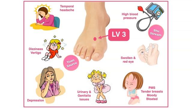 Acupuncture points for Liver Qi Stagnation смотреть онлайн