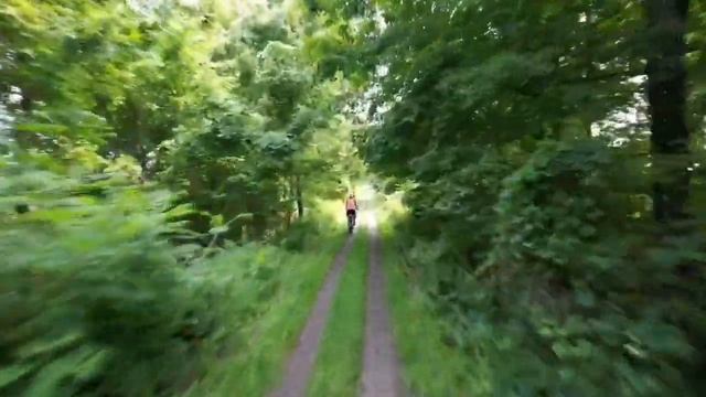 Follow me through the forest! Best active track ever! dji air 2s смотреть онлайн