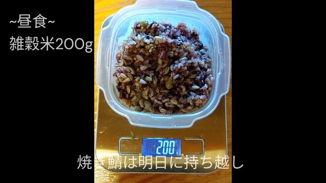 お米ダイエット【290日目】お米で痩せる実践動画 смотреть онлайн