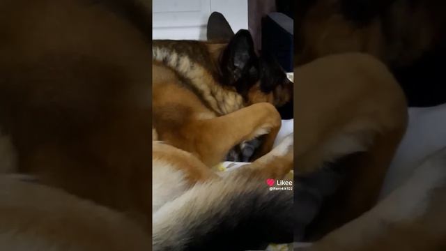 Привет, новый день смотреть онлайн