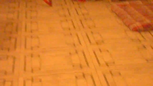 DSCN7618 Ларс умывался и пришёл ко мне смотреть онлайн