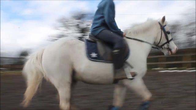 pony for sale/loan [Danny] смотреть онлайн