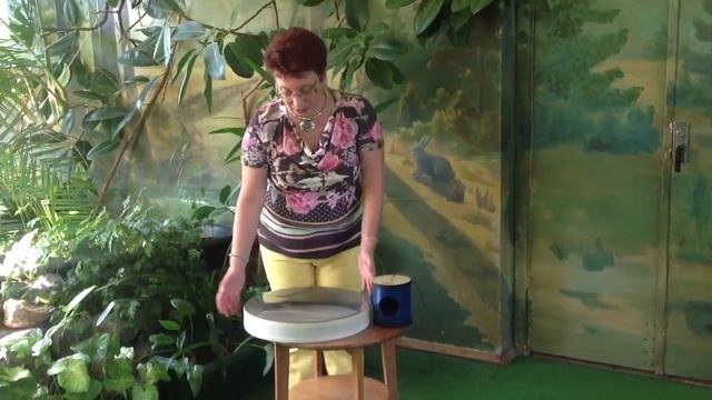 Акустические инструметы смотреть онлайн