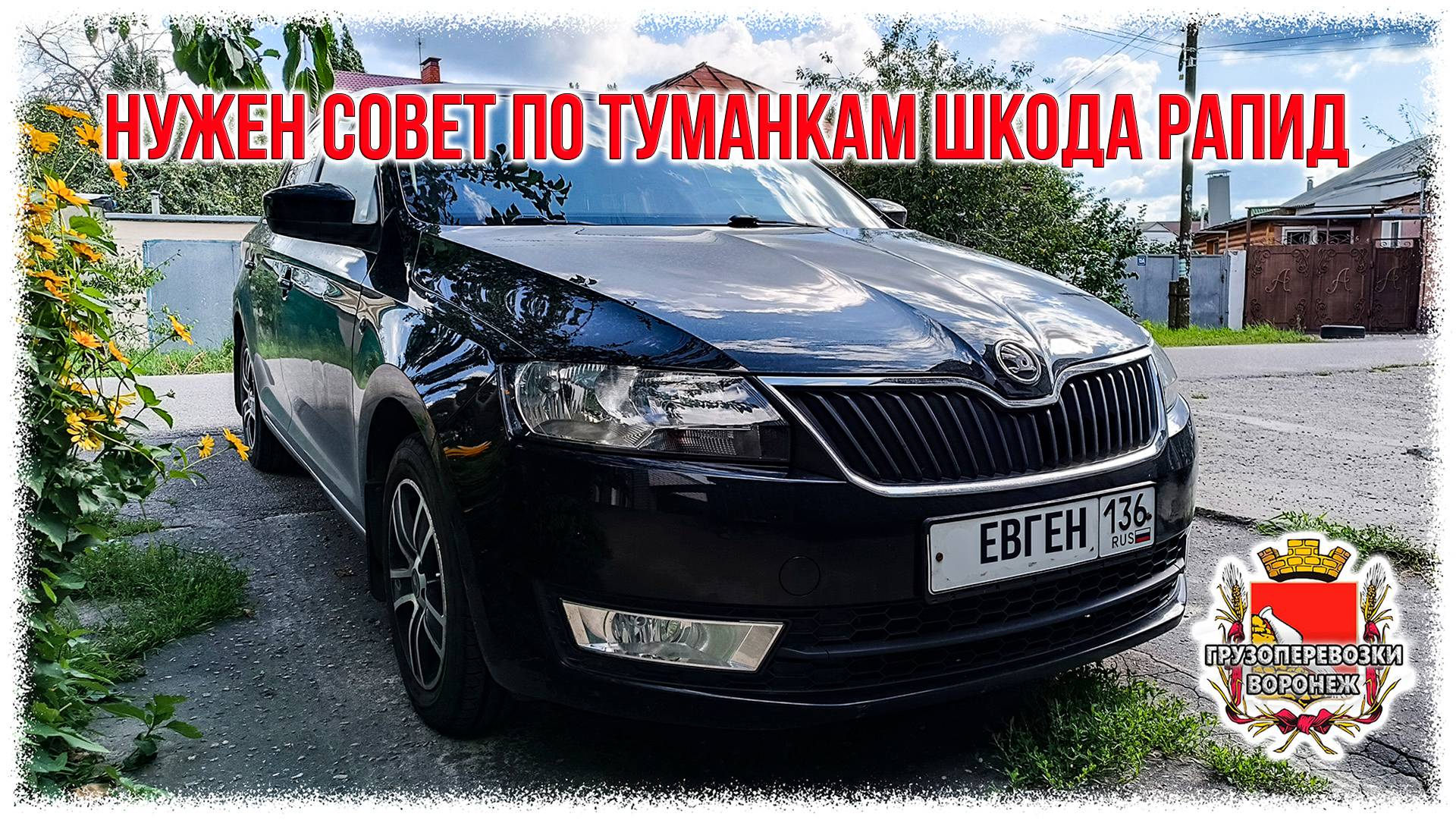 Нужен совет по туманкам шкода рапид смотреть онлайн