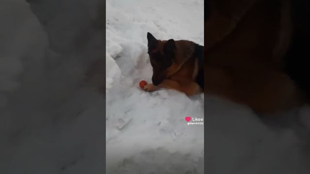 Рассвет 11.01.25г смотреть онлайн