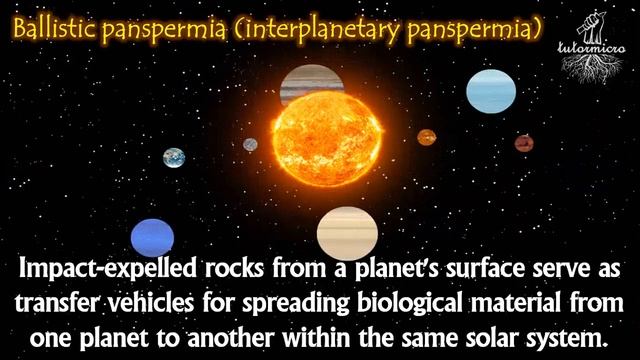 The Origin of Life (Part-3) l How Life Started on Earth? l Panspermia Theory I Life From Space смотреть онлайн