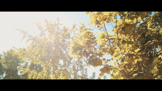 Immersion into Maison Albar Hotels - L'Imperator (Nimes, France) смотреть онлайн