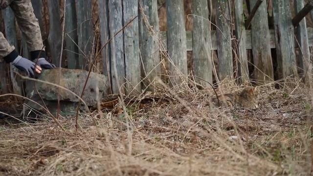 ЖИЗНЬ В УРАЛЬСКОЙ ГЛУБИНКЕ НА СЛИЯНИИ РЕК | ТРУДИТЬСЯ ЧТОБЫ БЫТЬ СЧАСТЛИВЫМ | РЕЗУЛЬТАТ РАДУЕТ ДУШУ