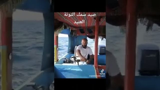 سمكه التونة العنيده смотреть онлайн