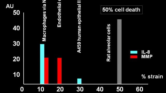 11 Ventilator induced lung injury Franco VALENZA Turin2011
