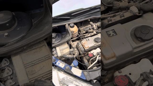 Peugeot 206 Пежо 206 2004 года выпуска, когда важен не год, а состояние