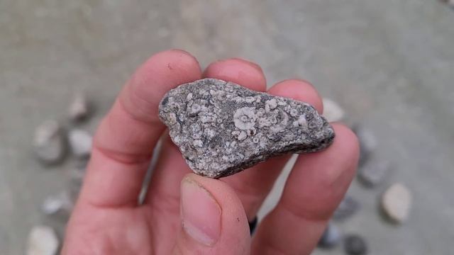 A Cold & Rainy Day At Limestone Park! смотреть онлайн