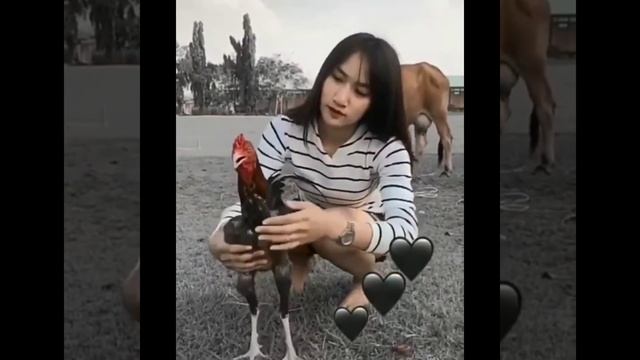 Sexi girl +62 смотреть онлайн