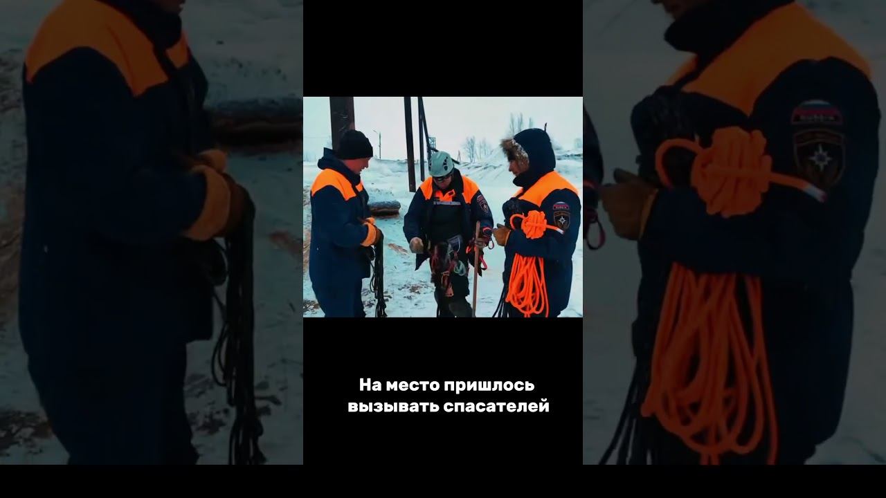 В Нижнем Новгороде пес 9 дней просидел в трубе на высоте четырехэтажного дома #shorts смотреть онлайн