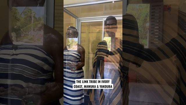THE LINK TRIBE IN IVORY COAST #link #links #tribes #ivorycoast #abidjan #cotedivoire #africa #trave смотреть онлайн