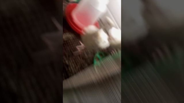 прошло 10 дней смотреть онлайн