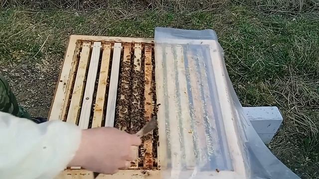 Хотите много мёда? Не пропустите эту работу на пасеке. Расширяйте правильно свои пчелосемьи. смотреть онлайн