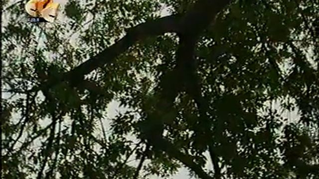 "Очень страшное оно" смотреть онлайн