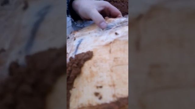 СМИТ Тандем и ВПО 205-00 парадокс смотреть онлайн