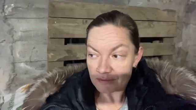 Стрим смотреть онлайн