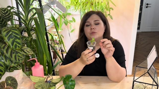 ВЛОГ | не буду бороться с вредителем | новые бегонии | обзор цветочной базы смотреть онлайн