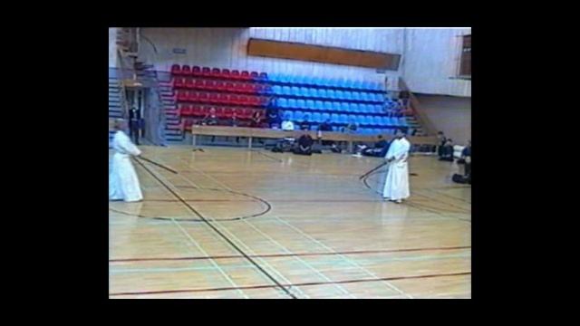 Shin Kage ryu