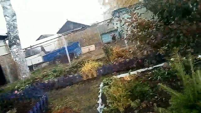 Муж купил всё, что я попросила и даже больше !!!!Сварила рассольник смотреть онлайн