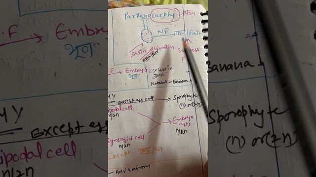 Parthenogenesis # Parthenocarpy# Apogamy# Polyembryony # Adventitious polyembryony смотреть онлайн