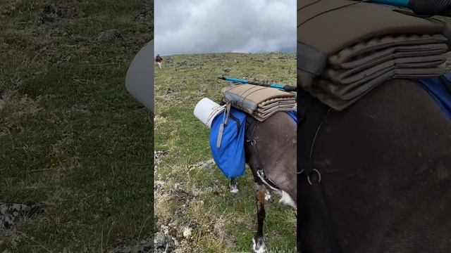 Hiking with the Deer смотреть онлайн