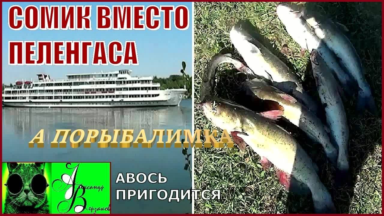 Сомик вместо пеленгаса. А порыбалимка 7-й выпуск 24г.