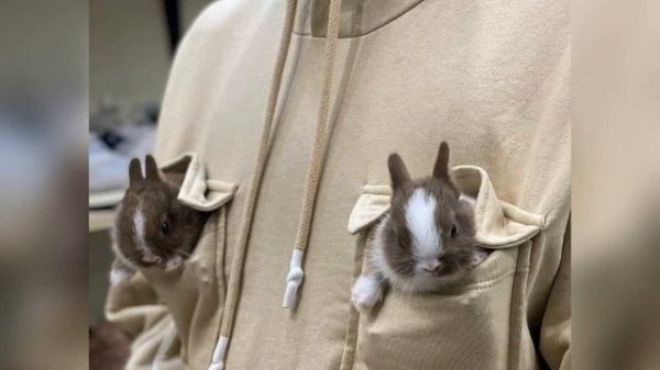 верните в моду любовь.. чистую :/ 🥨