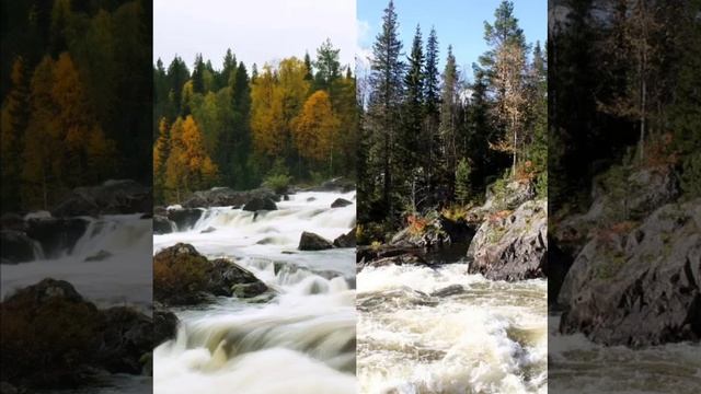 К ИСТОКАМ СЛОВА. Выпуск 1.