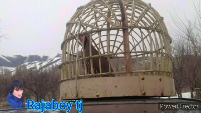 Кабки н. Рашт д. Нимич кисми 7 смотреть онлайн