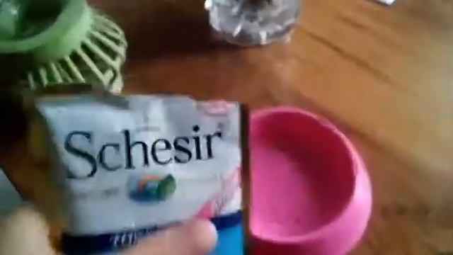 Sachet fraîcheur Schesir CHATON en gelée 100g - Zoomalia смотреть онлайн